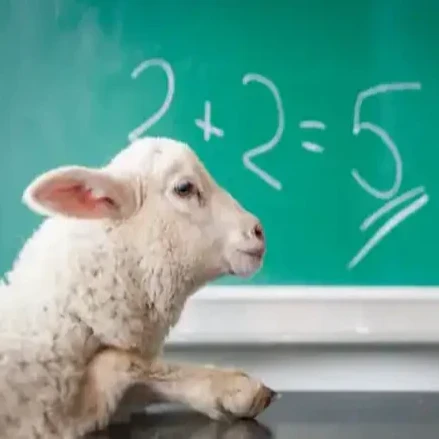 A Tribute To Education's Teaching Heroes & Studious Learners