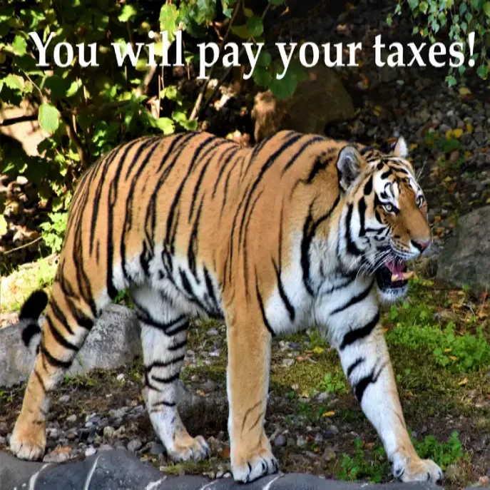 You asked for a miracle to stop the Christians; I give you the IRS!